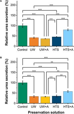 Supercooled preservation of cultured primary rat hepatocyte monolayers